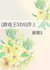 [��Ϸ��5DS] ����