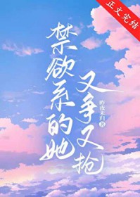 ����ϵ������������