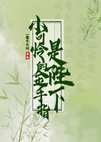 С�����Ľ���ָ�Ǳ���