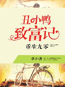 �������㣺��СѼ�¸���