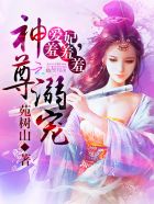 ������裺������������