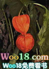 ������gl