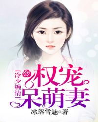 ���ٲ��飺Ȩ�������