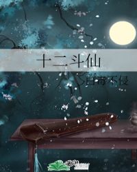 ʮ������